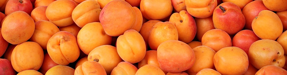 apricot-vajayjay