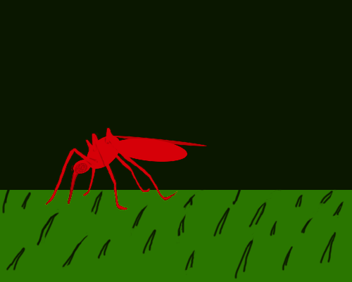 Can-Mosquitoes-Spread-STDs