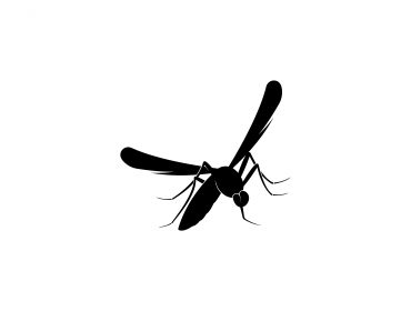 Can Mosquitoes Transmit HIV?