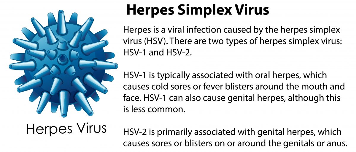 herpes resources