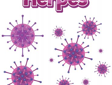 herpes info