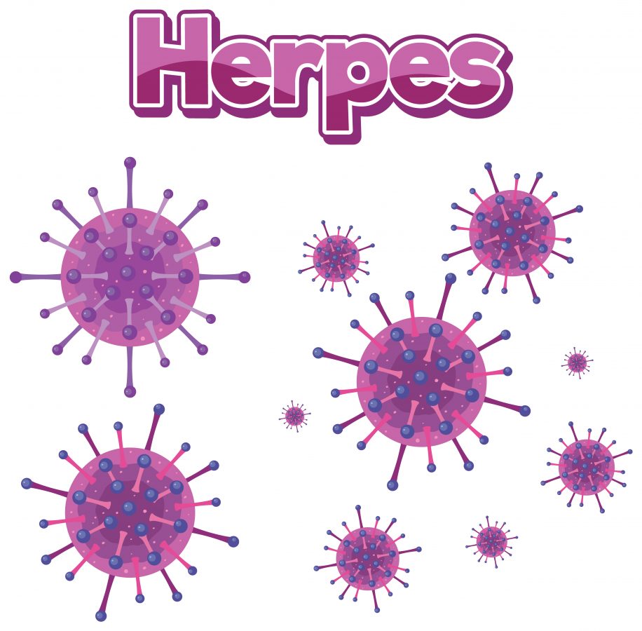herpes info