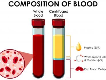 what is a cbc blood test