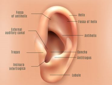 herpes in the ear
