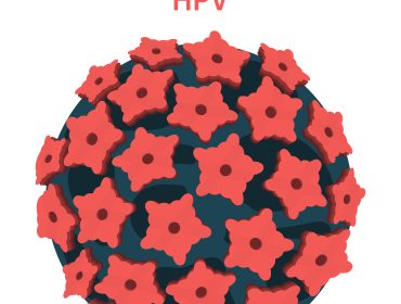 human papillomavirus   