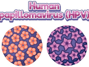 human papillomavirus infection symptoms